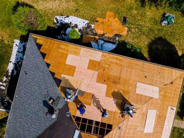 Best Roof Gutter Cleaning  in Frazier Park, CA
